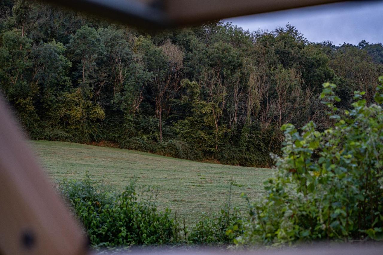 Woodview - Cosy 1840S Cottage In Chew Valley And Mendip Aonb Compton Martin エクステリア 写真