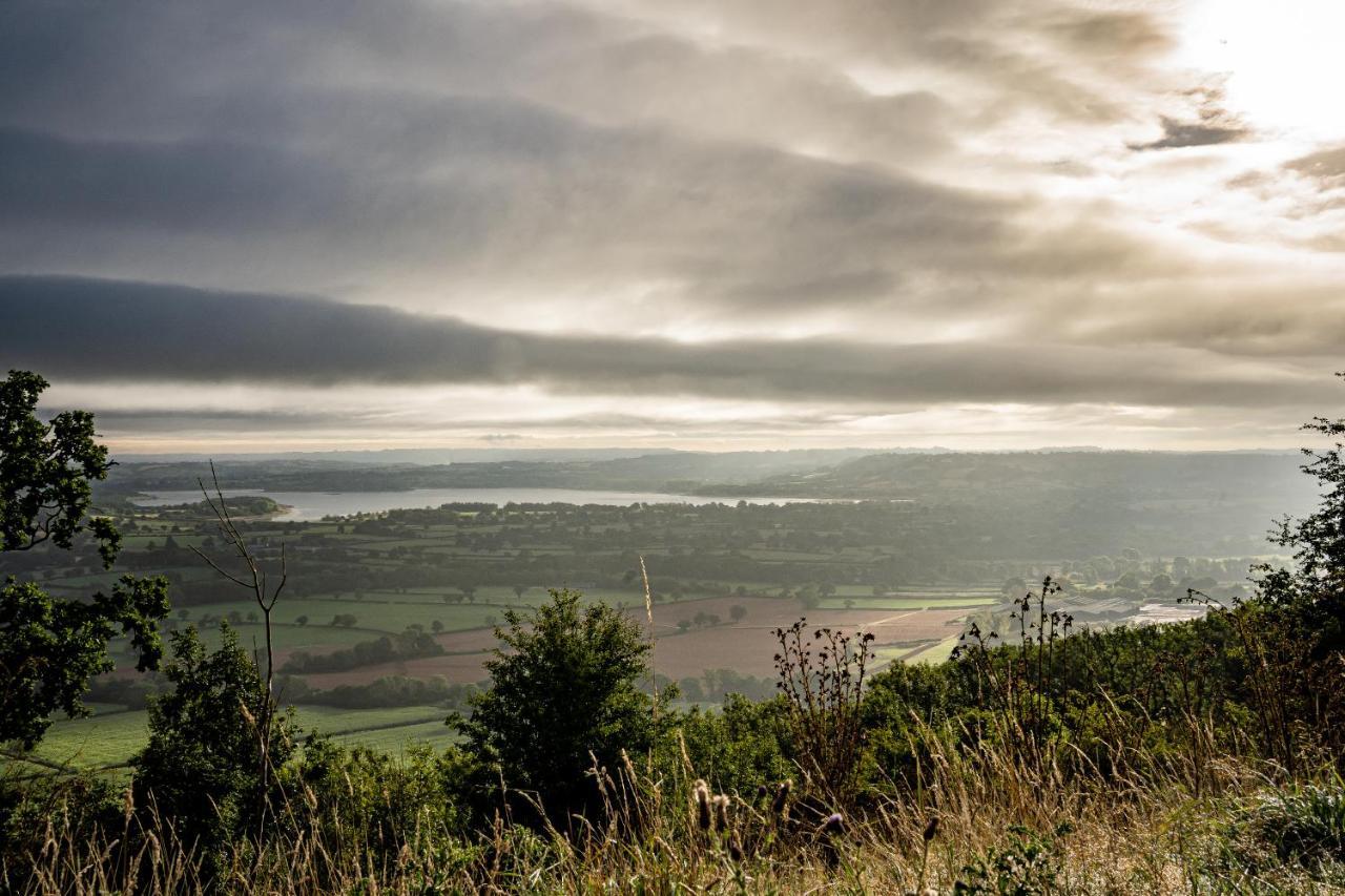 Woodview - Cosy 1840S Cottage In Chew Valley And Mendip Aonb Compton Martin エクステリア 写真