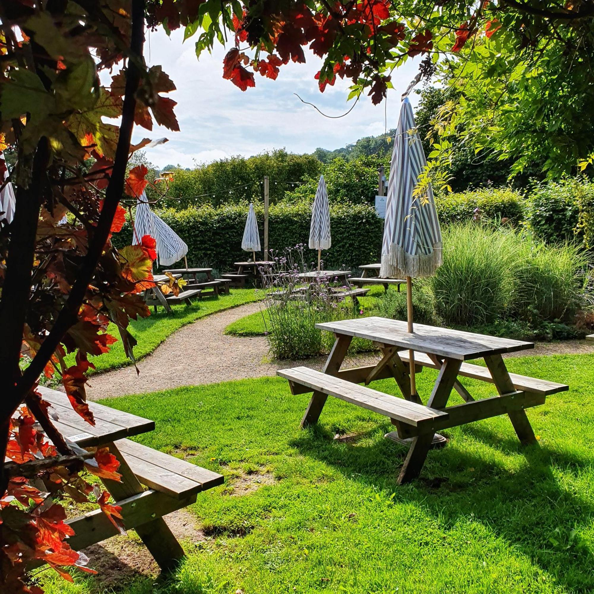 Woodview - Cosy 1840S Cottage In Chew Valley And Mendip Aonb Compton Martin エクステリア 写真